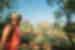 sri-lanka_dambulla_sigiriya-lion-rock-fortress_traveller-looking
