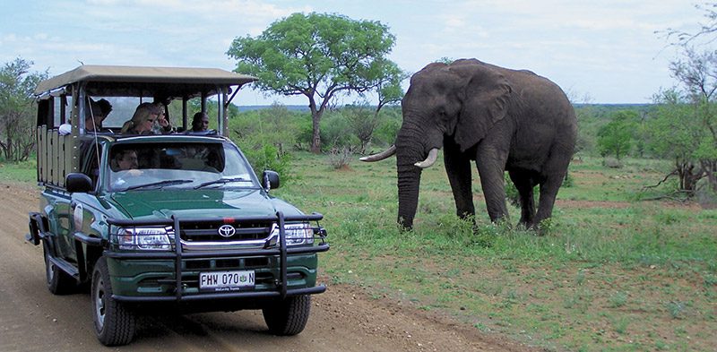 What to expect in South Africa | Intrepid Travel Blog