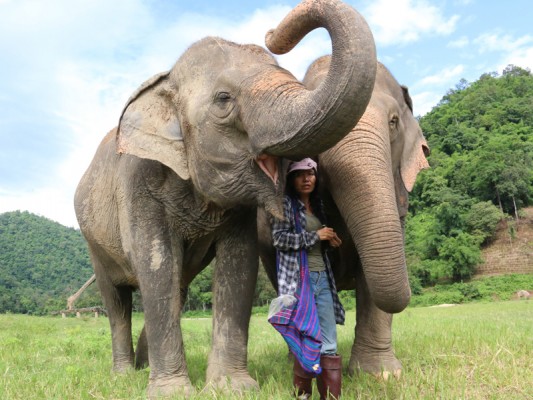 The elephant whisperer: a life devoted to rescue and rehabilitation ...