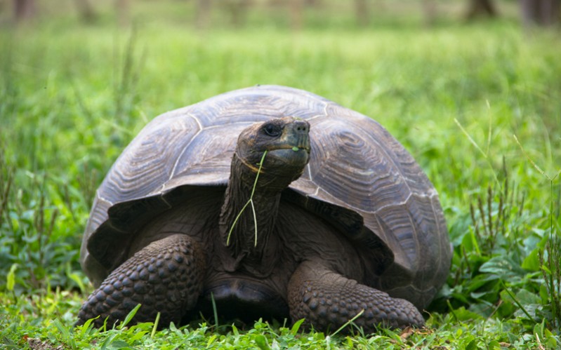 20 photos of the Galapagos Islands | Intrepid Travel Blog - The Journal