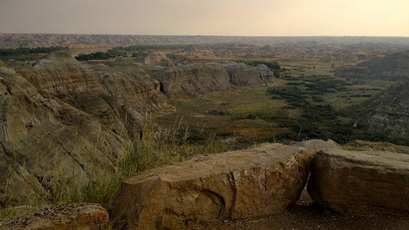 dinosaur provincial park tours