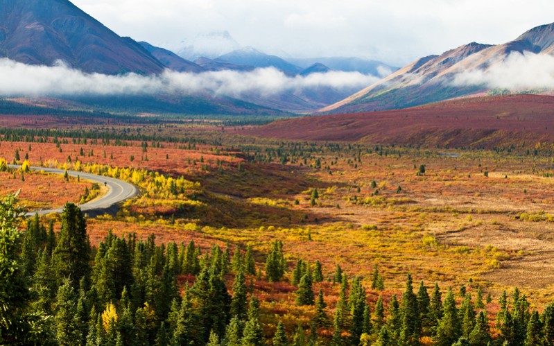 The Call Of The Wild Our Guide To Alaskas Top 5 National Parks Intrepid Travel Blog The 2052