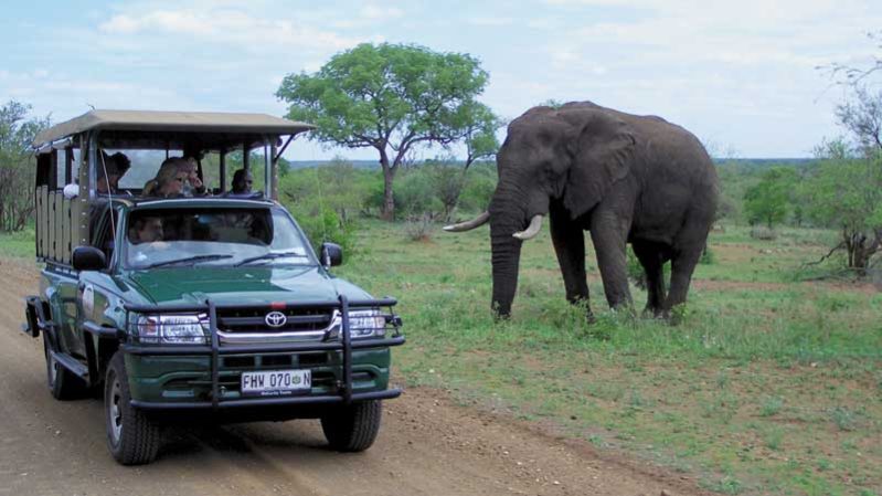 Flying solo on a South Africa group tour | The Good Times by Intrepid