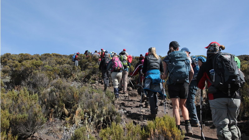 Traveller stories: I climbed Kilimanjaro for women's rights | Intrepid ...