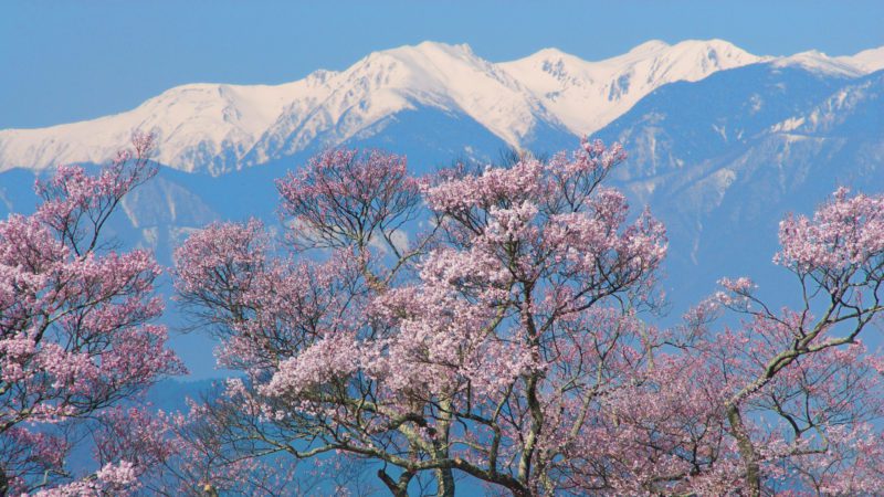 Mt Takao, Tokyo Japan