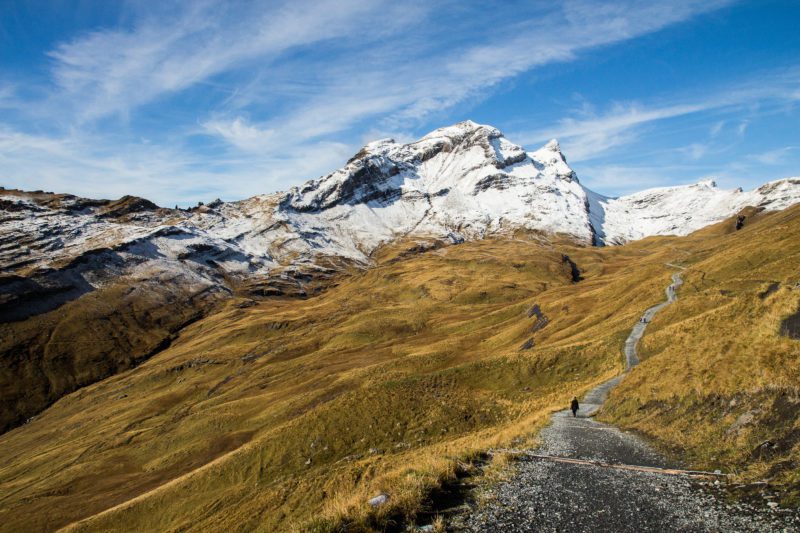 Grindelwald Switzerland