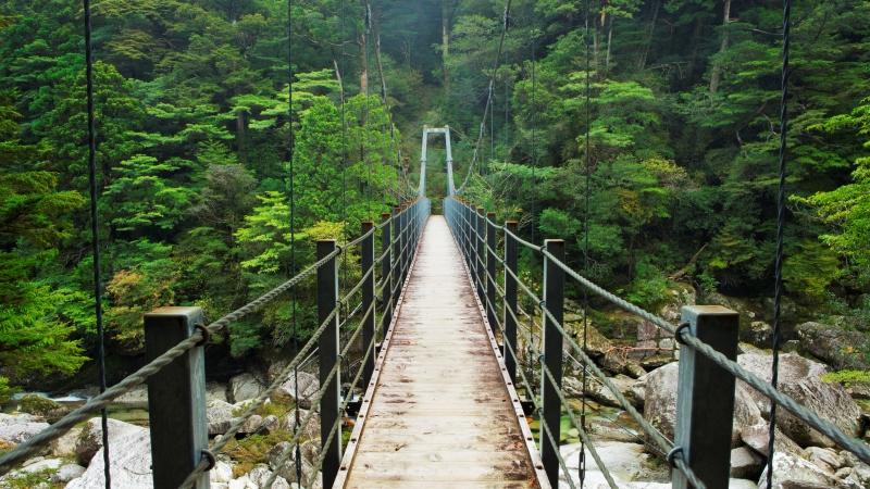 Yakushima Japan bridge