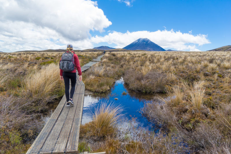 New Zealand North Island