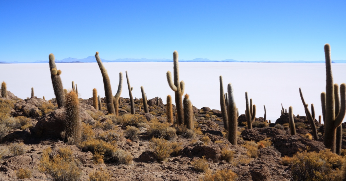 What a Bolivia tour with Intrepid Travel is really like | Intrepid ...