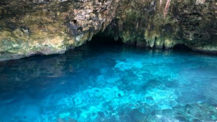 Exploring Mexico's Cenotes & Swimming Holes | Intrepid Travel Blog