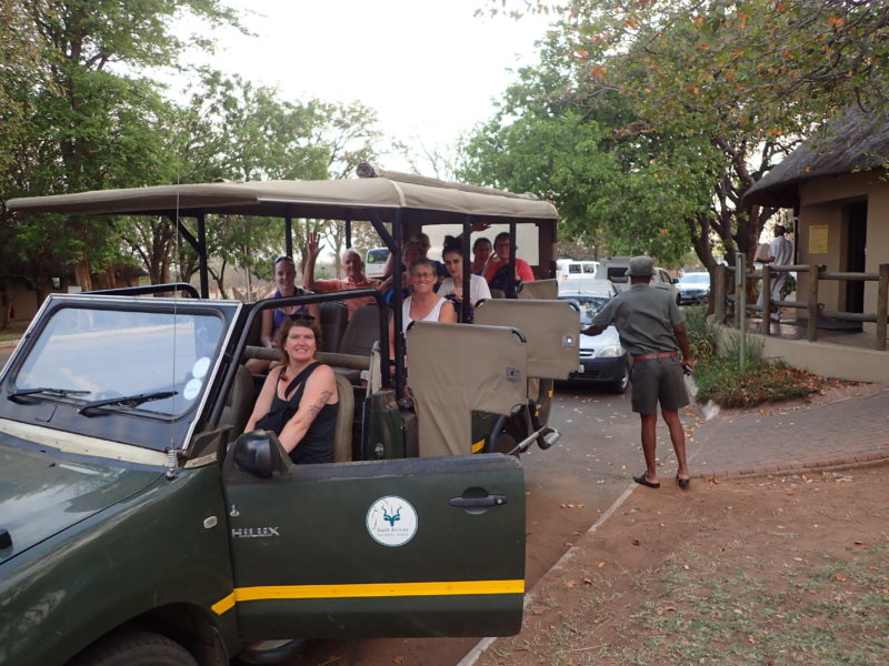 Southern Africa safari game drives