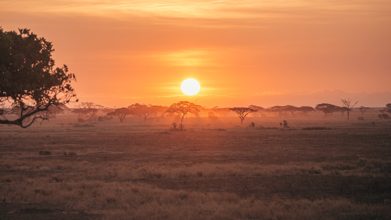 Camping Serengeti East Africa