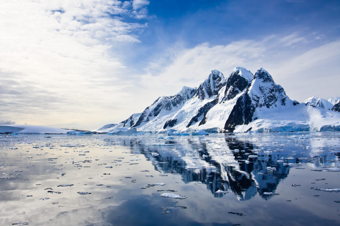 The Arctic Vs. Antarctica: Choosing Your Polar Trip | Intrepid Travel Blog