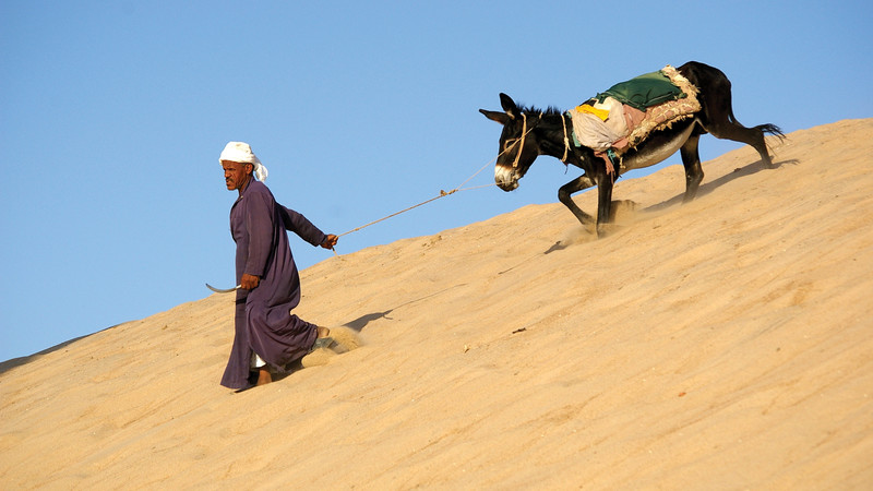 egypt_man-donkey-in-the-dunes