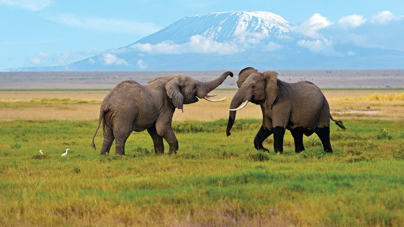 Top 10 Amazing Things You Can Experience In Kenya