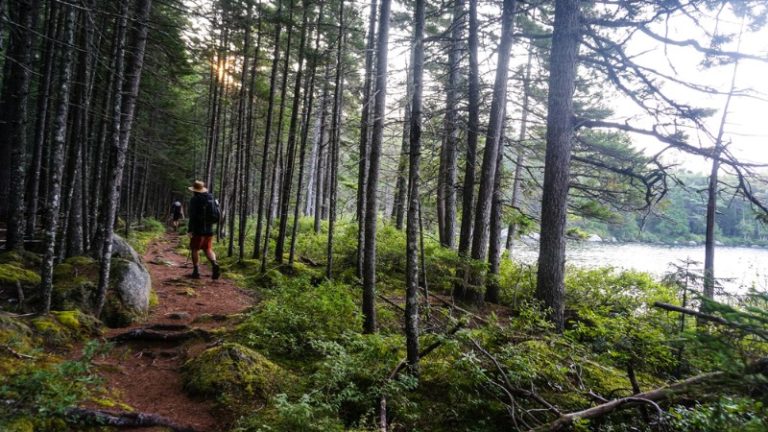 Why You Should Hike The Appalachian Trail | Intrepid Travel Blog