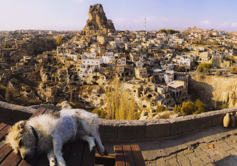 A dog lying on a table with Ortahisar Castle in the background