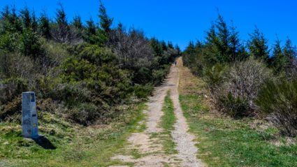 Cycling The Camino: Everything You Need To Know | Intrepid Travel Blog