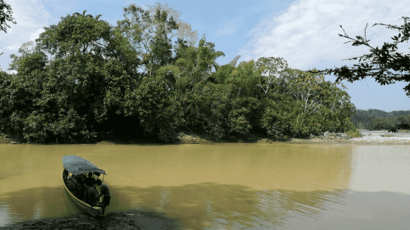 Visiting the  Rainforest in Brazil