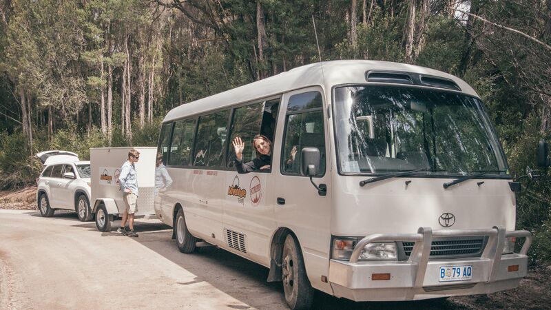 Two tour vans in Tasmania