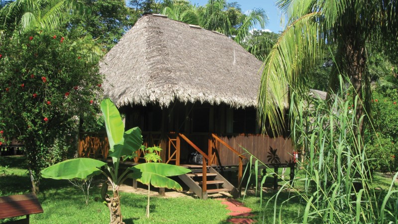 Comfortable jungle lodge accommodation in the Amazon