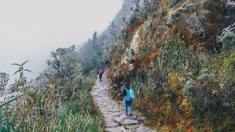 Inca Trail pictures