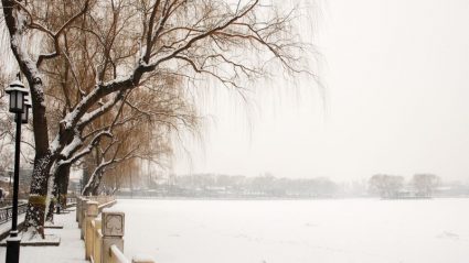 Why You Should Visit China In Winter | Intrepid Travel Blog