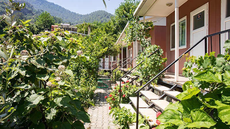 Bungalows in a garden in Turkey