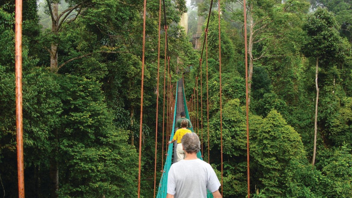 A group of travellers walking across a bridge in the rainforest in Sabah, Borneo