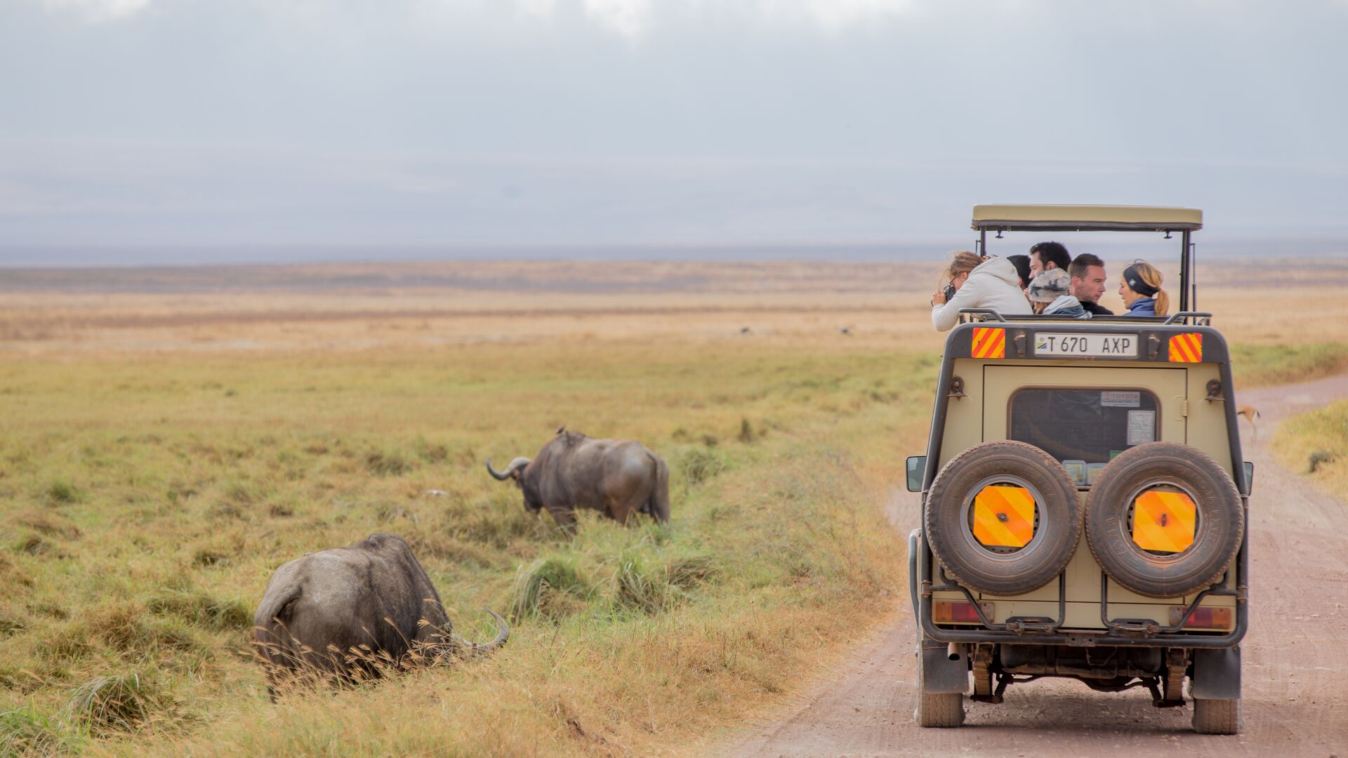 Travellers taking photos of rhinos while standing in an open-top vehicle in Tanzania