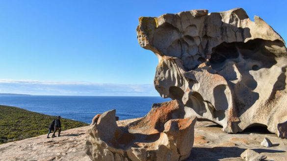 9 Things You Can Do On Kangaroo Island | Intrepid Travel Blog