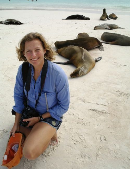 A woman surrounded by sea lions in the Galapagos