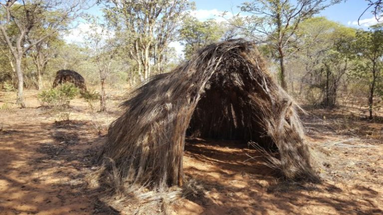 Namibia's Most Fascinating Museum | Intrepid Travel Blog