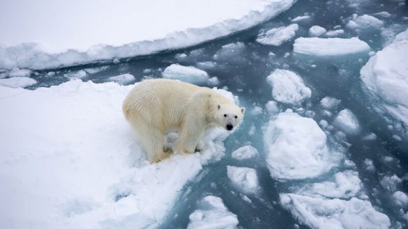 We Are Declaring A Climate Emergency | Intrepid Travel Blog