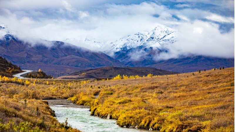 The 8 Best Hikes in Denali National Park