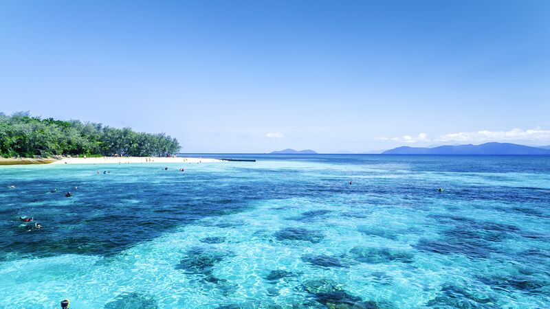 People snorkelling the Great Barrier Reef