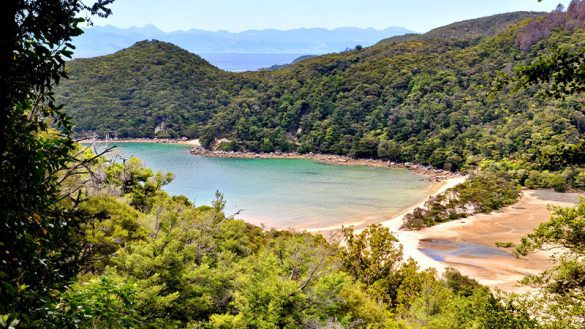 9 of the best Abel Tasman beaches | Intrepid Travel Blog - The Journal