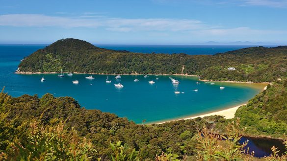 9 of the best Abel Tasman beaches | Intrepid Travel Blog - The Journal