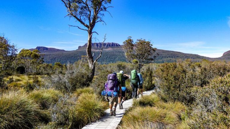 intrepid travel overland track