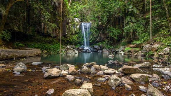 Best nature walks on the Gold Coast | Intrepid Travel Blog - The Journal