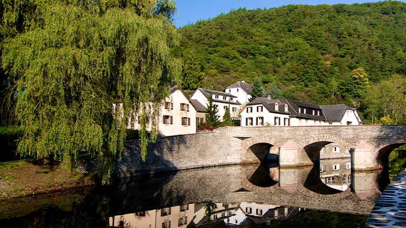 A group of houses on the banks of the River Sure with a weeping willow in the foreground. 