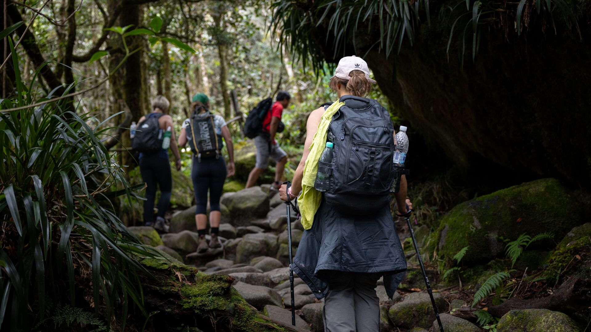 A group of hikers walking up rocky steps on the Mt Kinabalu trail