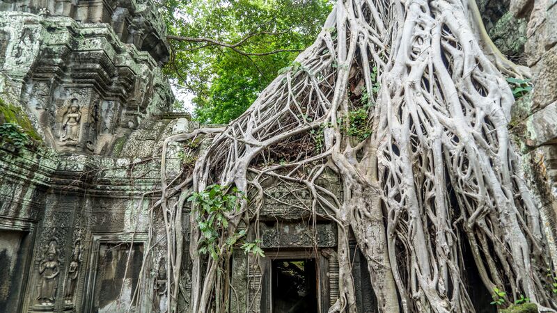 Angkor Wat, Cambodia