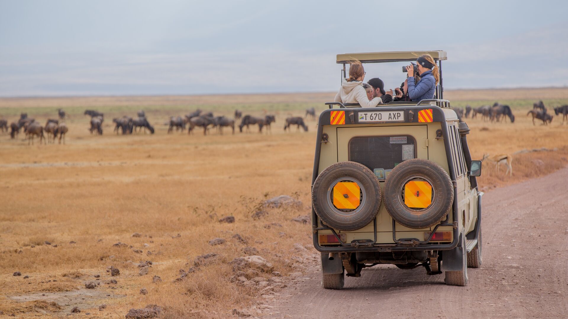 safari tanzania o sudafrica