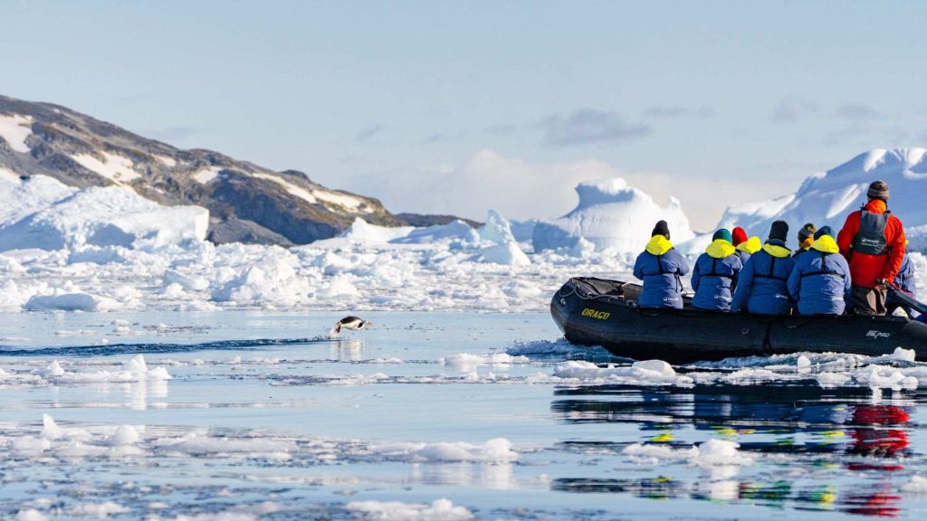 This is what it’s like to collaborate with real scientists in ...