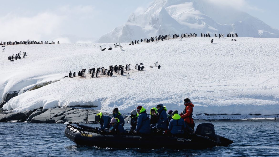 a zodiac sailing alongside penguins in Antarctica