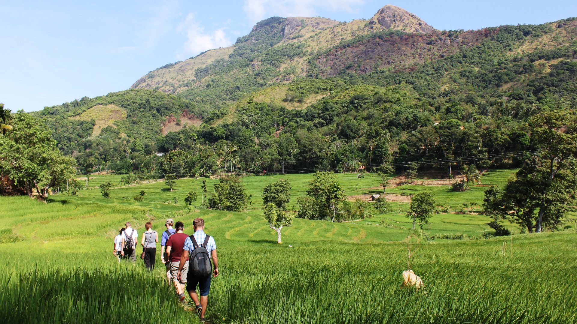 A group of people hiking through a lush landscape in Sri Lanka.