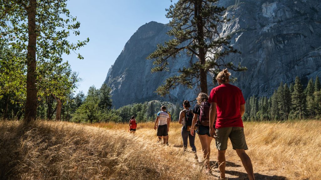 A group of Intrepid travellers hiking through grassy plains in Yosemite Valley