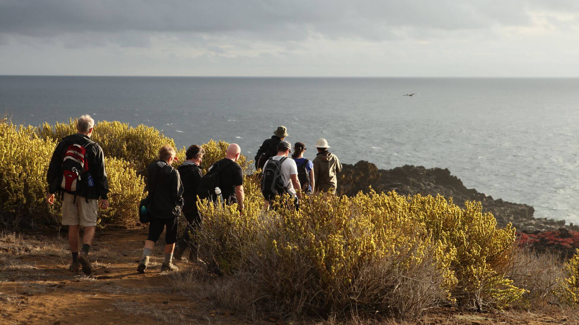 A group of hikers looking out over the ocean, Galapagos Islands