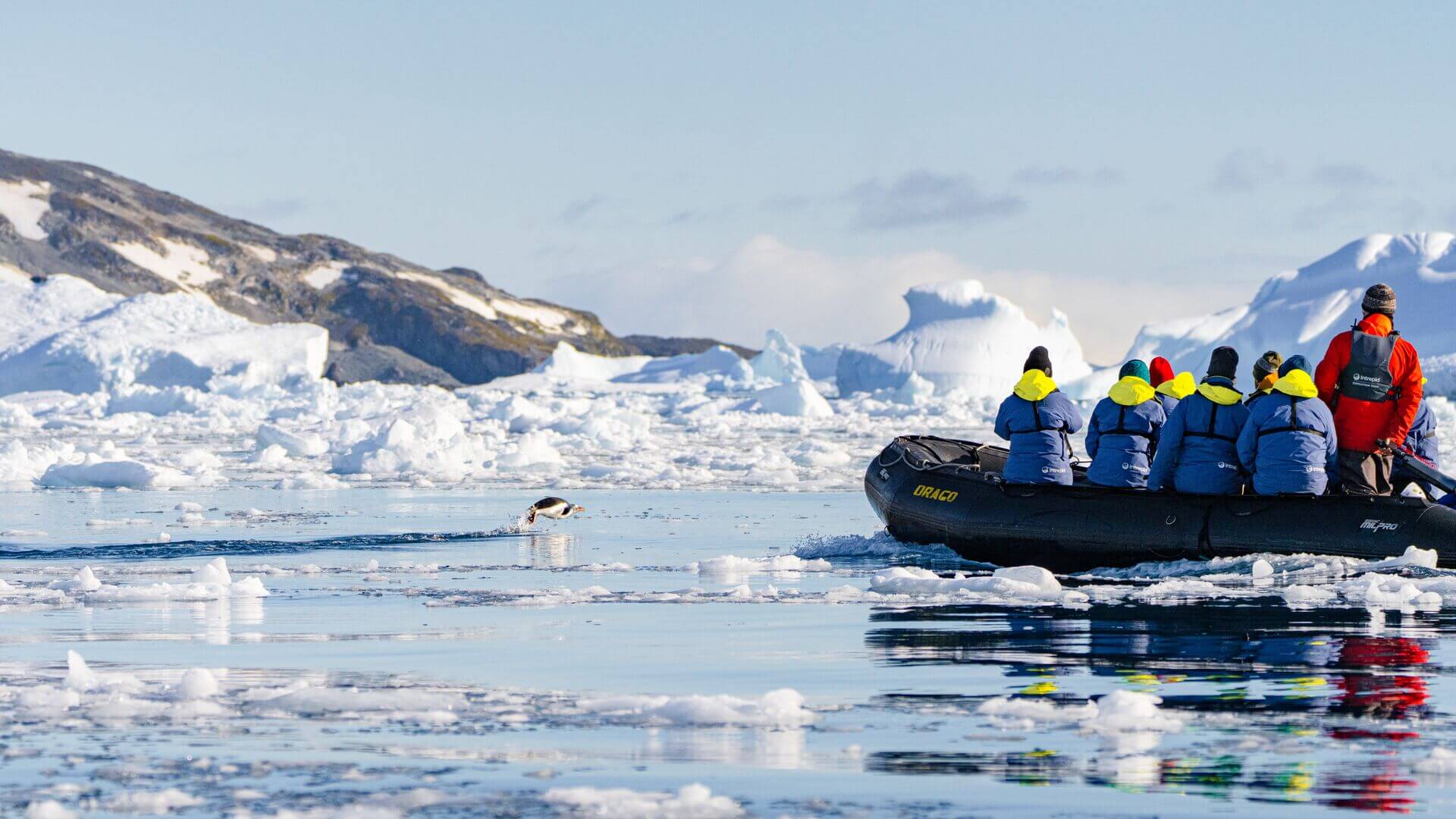 A penguin leaps out of the water while a group of Antarctica travellers watch on from a Zodiac